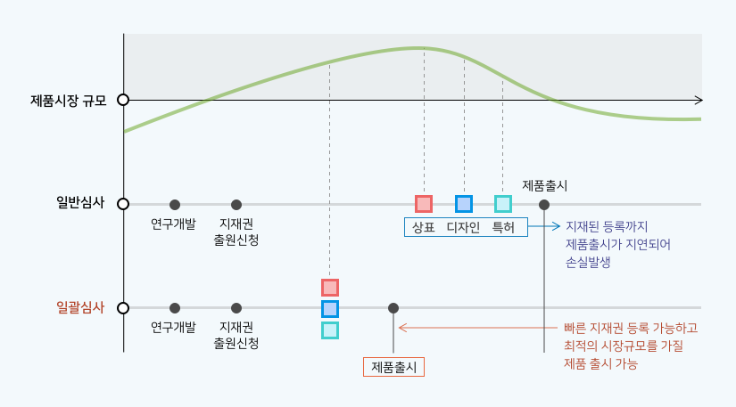 제품시장규모, 일반심사, 일괄심사, 상표디자인특허 - 지재된 등록까지 제품출시가 지연되어 손실발생, 제품출시 - 빠른 지재권 등록 가능하고 최적의 시장규모를 가질 제품 출시 가능